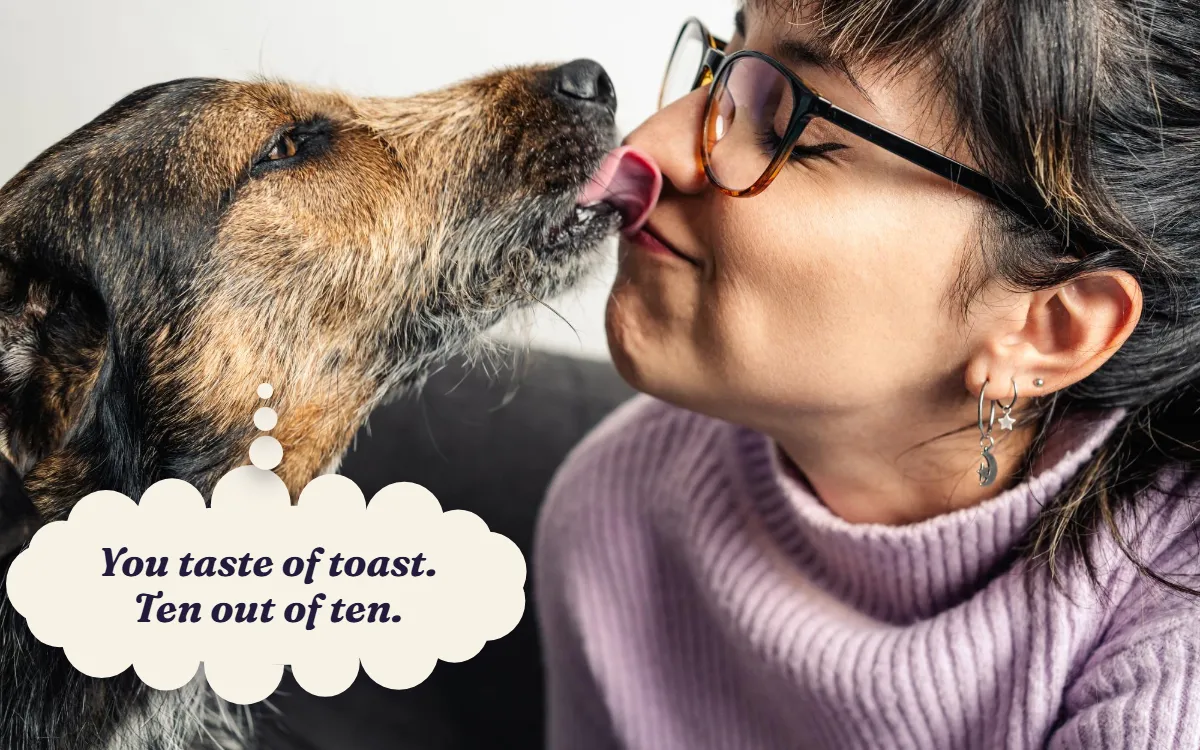 Dog licking a smiling woman's nose, thinking "You taste of toast. Ten out of ten."