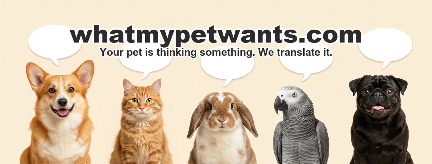 Dogs, cats, a rabbit, a parrot and a pug - each thinking something